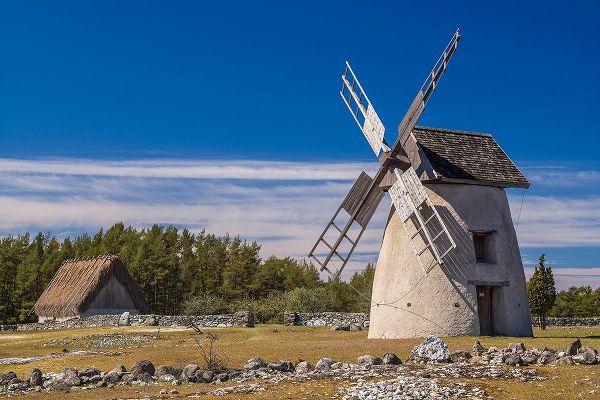 Bibikow, Walter 아티스트의 Sweden-Faro Island-Eroskogs-old windmill작품입니다.